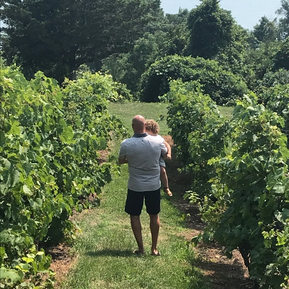 Meet your Posher, Lindsey - Picture 1 of 1